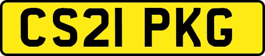 CS21PKG