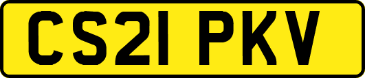 CS21PKV