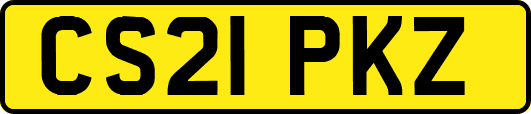 CS21PKZ