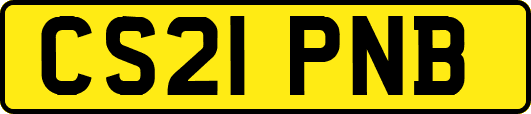 CS21PNB