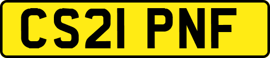 CS21PNF