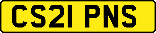 CS21PNS