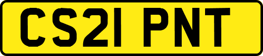 CS21PNT