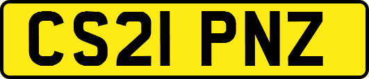 CS21PNZ