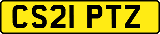 CS21PTZ