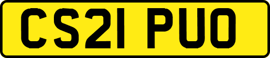CS21PUO