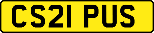 CS21PUS