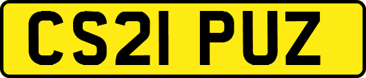 CS21PUZ