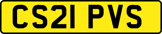 CS21PVS