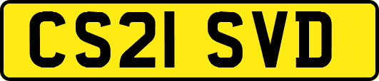 CS21SVD