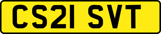 CS21SVT