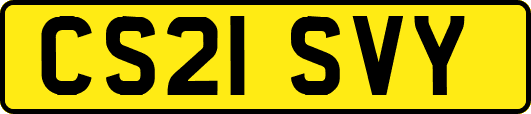 CS21SVY
