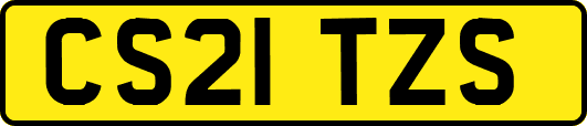 CS21TZS