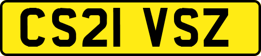 CS21VSZ