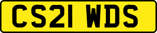 CS21WDS