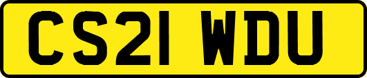 CS21WDU