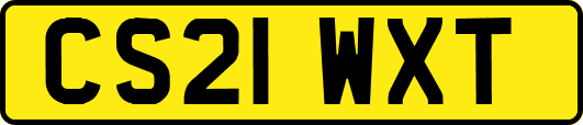 CS21WXT