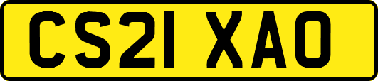 CS21XAO