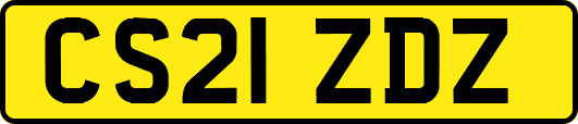 CS21ZDZ