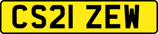 CS21ZEW