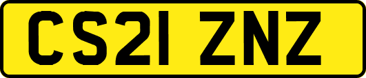 CS21ZNZ