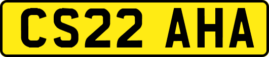 CS22AHA