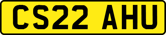 CS22AHU