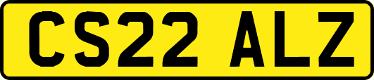 CS22ALZ