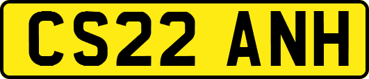 CS22ANH