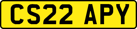 CS22APY