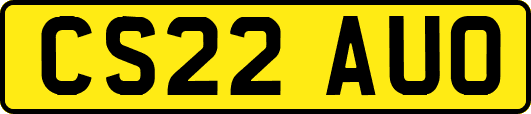 CS22AUO
