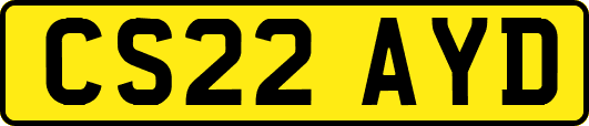 CS22AYD