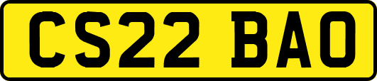 CS22BAO