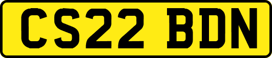 CS22BDN