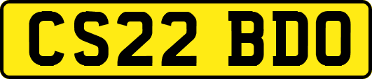 CS22BDO