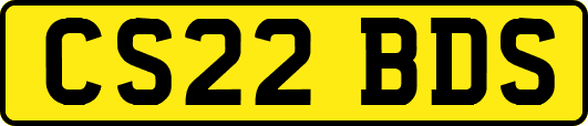 CS22BDS