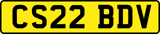 CS22BDV