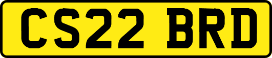CS22BRD