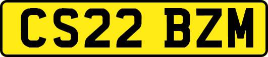 CS22BZM