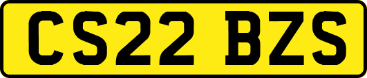 CS22BZS