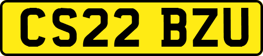 CS22BZU