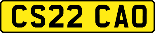 CS22CAO
