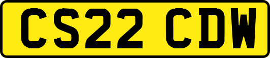 CS22CDW