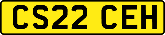 CS22CEH