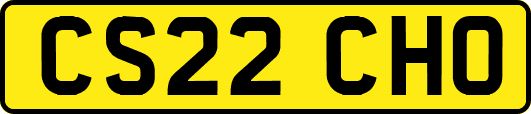 CS22CHO