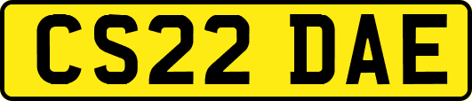 CS22DAE