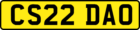 CS22DAO