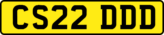 CS22DDD
