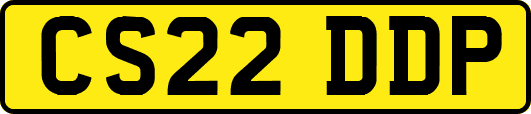 CS22DDP