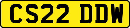 CS22DDW